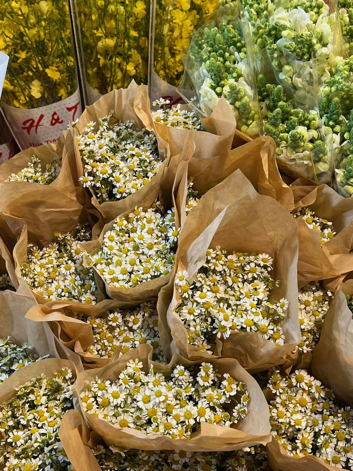 Chợ hoa Hà Nội này bất ngờ được xem là một điểm đến không thể bỏ qua đối với những người có đam mê khám phá cái đẹp.