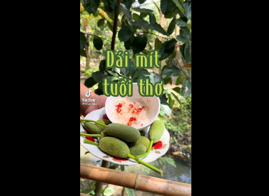 Ở miền Nam, các bạn ngày nhỏ thường chấm mắm đường, còn ở miền Trung và miền Bắc lại chấm với muối ớt.