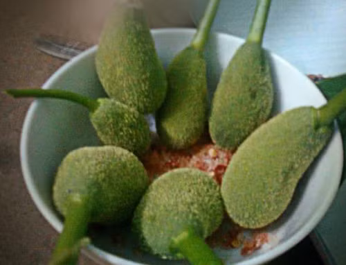 Khoảng thời gian khi chưa có nhiều món ăn vặt hay bánh kẹo, thì những món ăn như mít non trở thành món ăn thần thánh, đặc sản trong lòng những đứa trẻ.