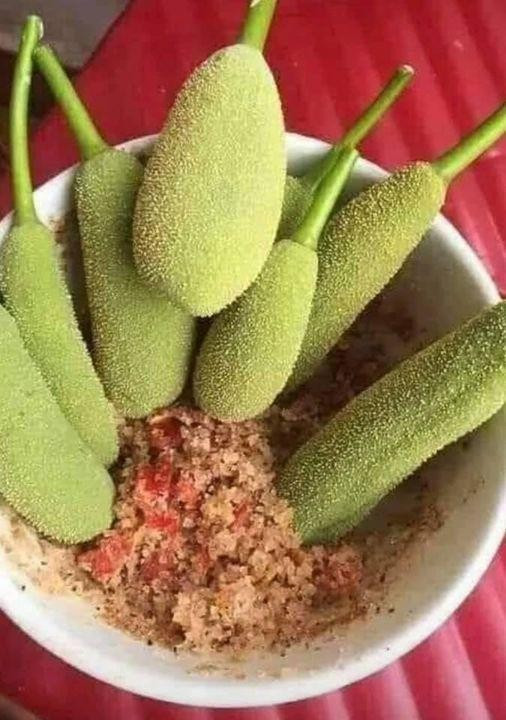 Những quả mít non chỉ bé bằng hai ngón tay, có màu xanh non, thân quả có nhiều cám và có vị chát, thế nhưng khi được ăn cùng loại muối ớt cay giã nhuyễn thì chu chua, thật “hết nước chấm”.