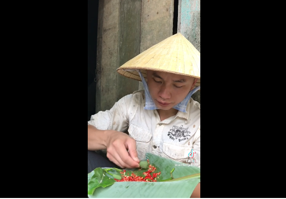 Trẻ con thường cắt những trái mít nhí này lúc chỉ to bằng ngón tay cái để ăn, mít nhí có vị hơi chát nhưng bùi bùi rất thú vị.