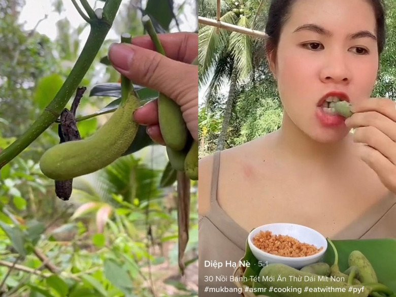 Loại quả đặc sản tuổi thơ này thưởng thức khi nó đang non, chỉ to tần hai ngón tay, và để ngon miệng nhất là khi nó được chấm cùng muối ớt.