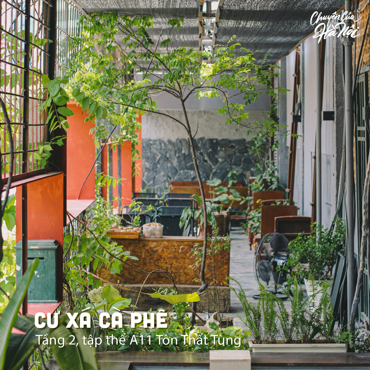 Những quán cà phê Hà Nội mang hơi hướng cổ xưa không còn quá xa lạ nhưng điều đặc biệt khiến Cư Xá Cafe “nổi như cồn” là do có vị trí ở tầng 2 trong khu tập thể. Ảnh: Chuyện của Hà Nội