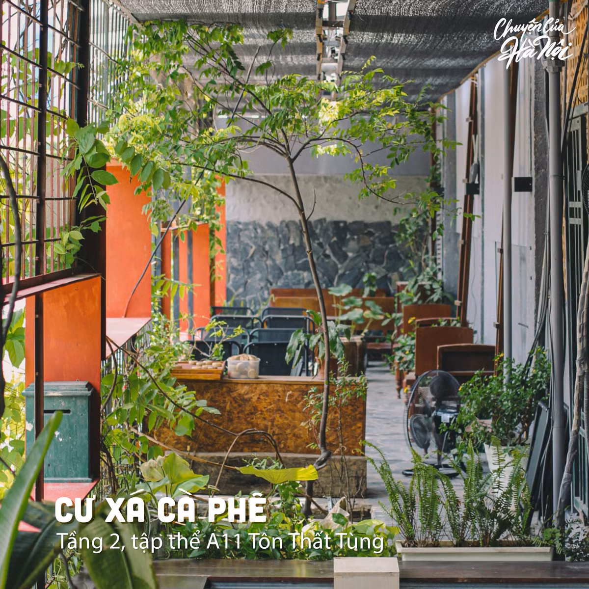 Những quán cà phê Hà Nội mang hơi hướng cổ xưa không còn quá xa lạ nhưng điều đặc biệt khiến Cư Xá Cafe “nổi như cồn” là do có vị trí ở tầng 2 trong khu tập thể. Ảnh: Chuyện của Hà Nội