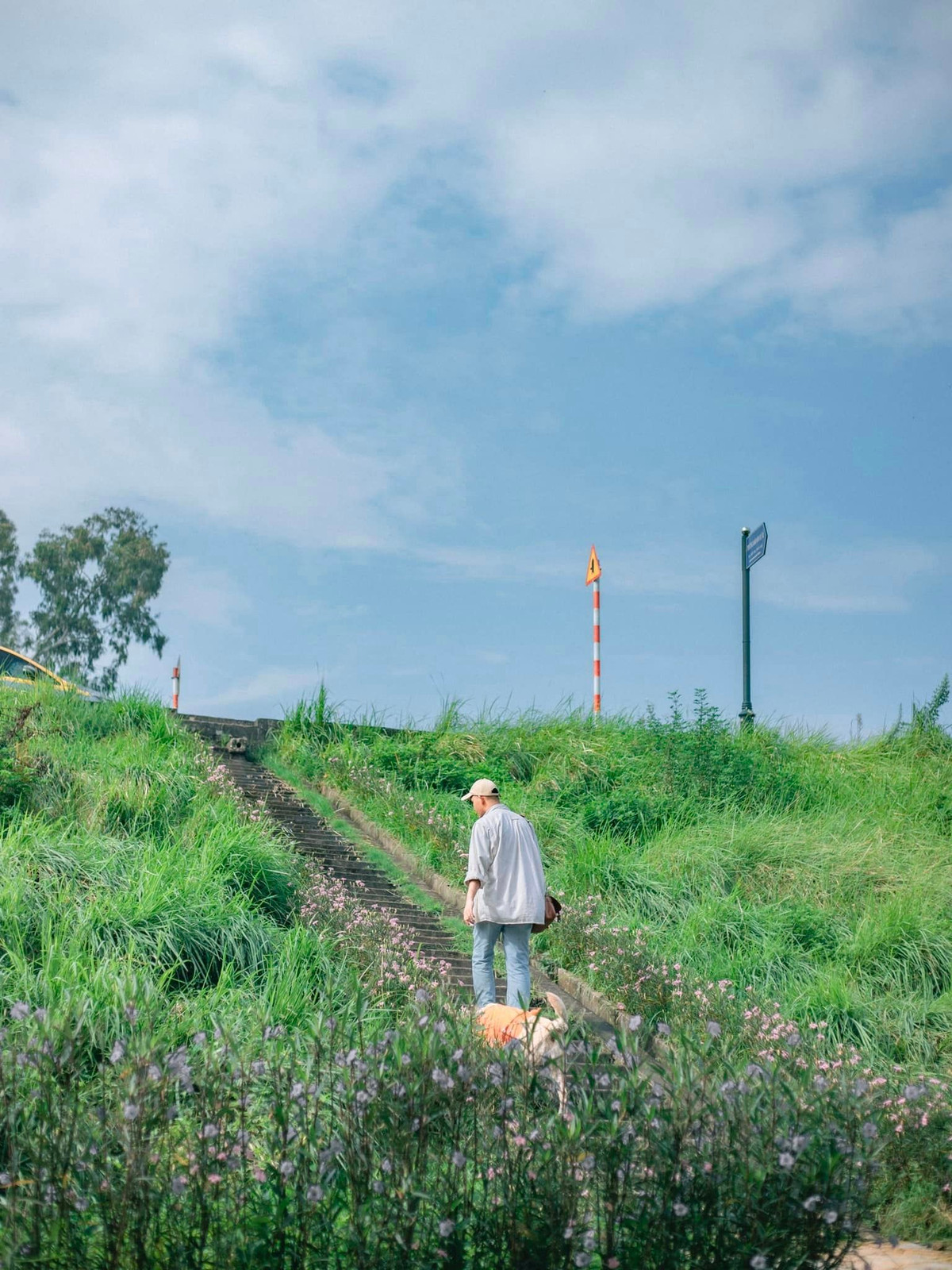 Thời điểm mùa thu về không chỉ là lúc người Hà Nội thưởng thức hương hoa sữa, cúc họa mi,... mà đây còn là thời điểm những người yêu hoa, yêu thiên nhiên đi “săn hình” tại những bờ đê cỏ lau xinh đẹp.