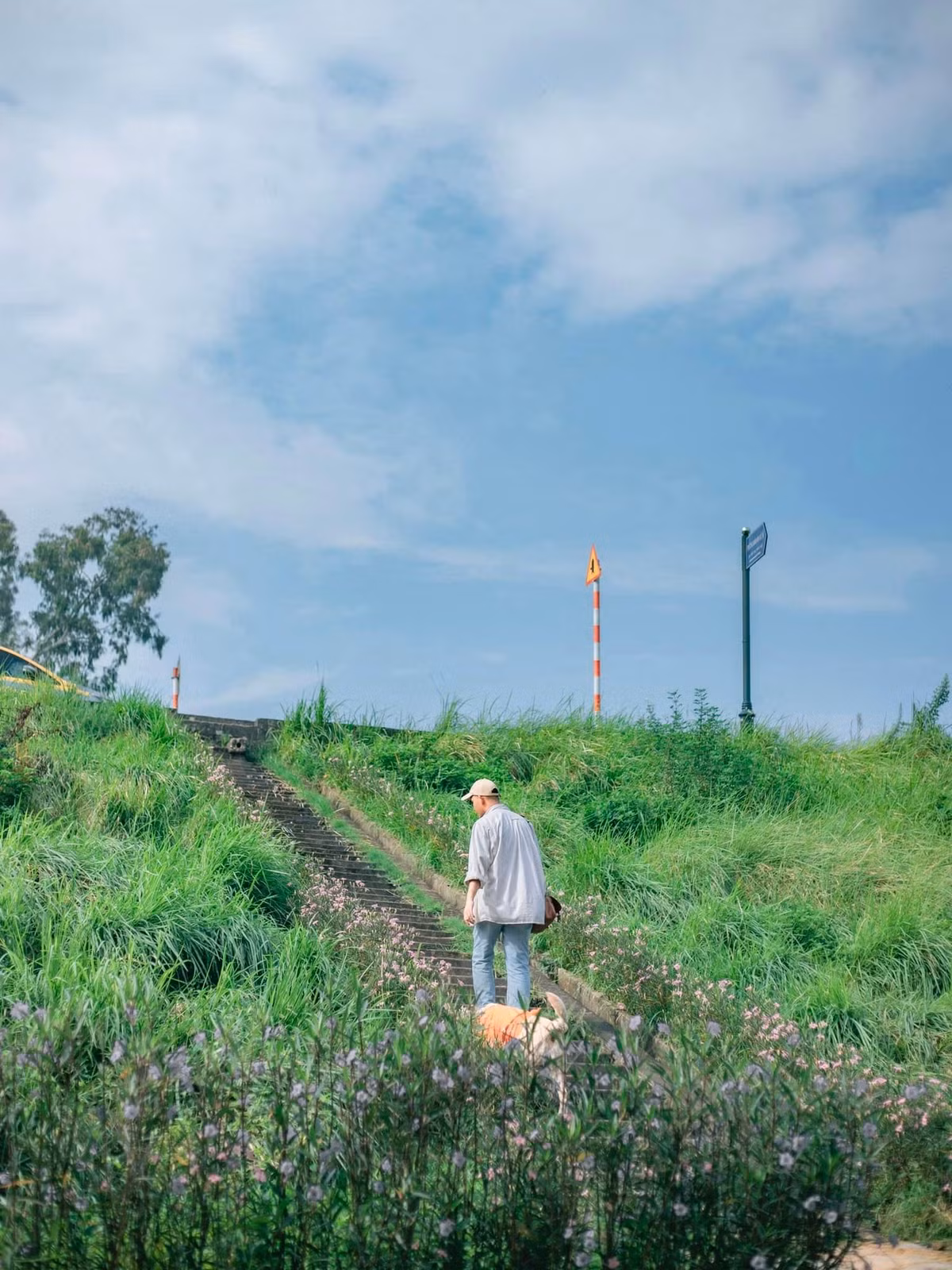 Thời điểm mùa thu về không chỉ là lúc người Hà Nội thưởng thức hương hoa sữa, cúc họa mi,... mà đây còn là thời điểm những người yêu hoa, yêu thiên nhiên đi “săn hình” tại những bờ đê cỏ lau xinh đẹp.