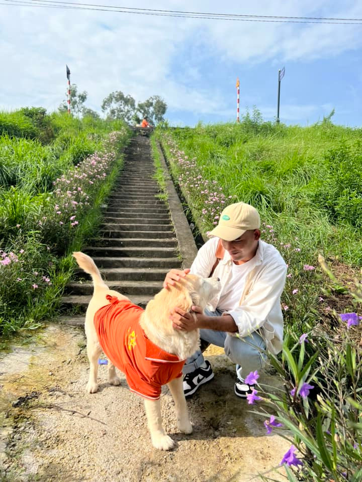 Có những người vô tình đi ngang qua đê Ngọc Thụy, thoáng thấy cánh đồng lau xanh mướt đã vội vã dừng xe, chụp lấy một tấm hình lưu giữ cho riêng mình. Ảnh: Bùi Ngọc Công