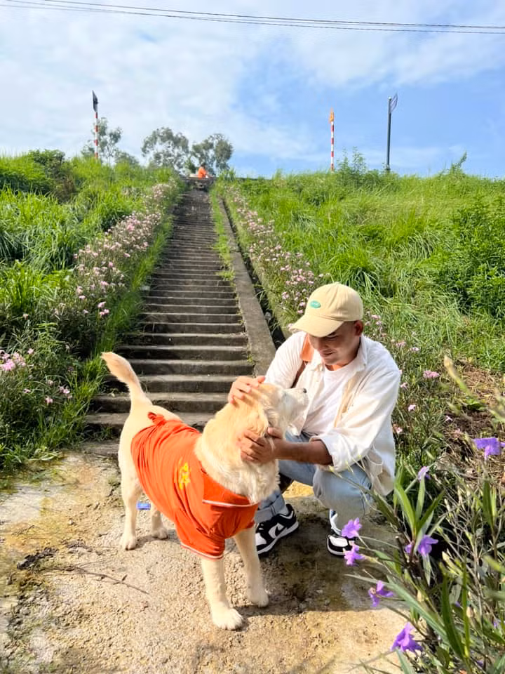 Có những người vô tình đi ngang qua đê Ngọc Thụy, thoáng thấy cánh đồng lau xanh mướt đã vội vã dừng xe, chụp lấy một tấm hình lưu giữ cho riêng mình. Ảnh: Bùi Ngọc Công