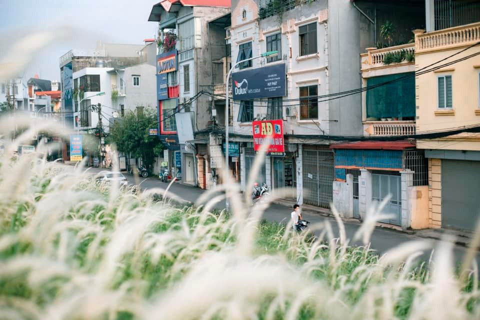 Để đến được đê cỏ lau Ngọc Thụy bạn sẽ phải di chuyển qua cầu Chương Dương, ở ngay phía chân cầu có một con đường nhỏ để rẽ vào đê Ngọc Thụy.