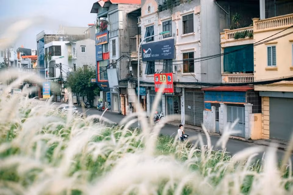 Để đến được đê cỏ lau Ngọc Thụy bạn sẽ phải di chuyển qua cầu Chương Dương, ở ngay phía chân cầu có một con đường nhỏ để rẽ vào đê Ngọc Thụy.