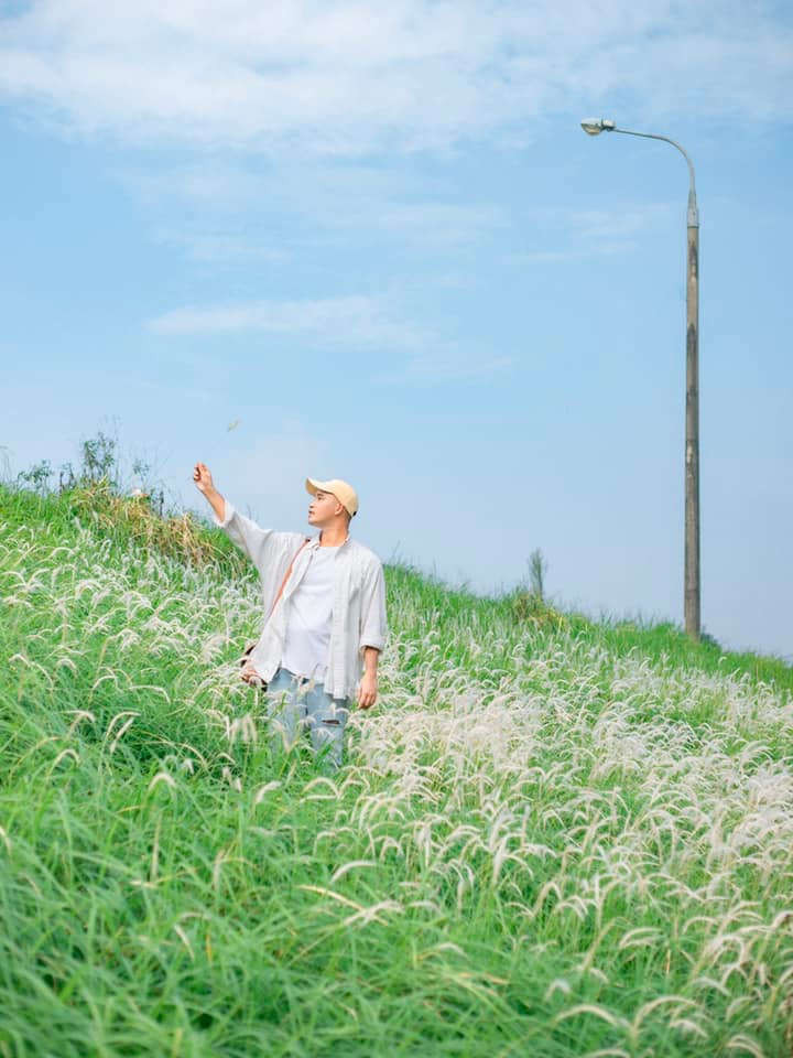 Giống như một loài hoa báo đông, hoa lau chỉ nở rộ lúc gió mùa len lỏi tràn về Thủ đô.