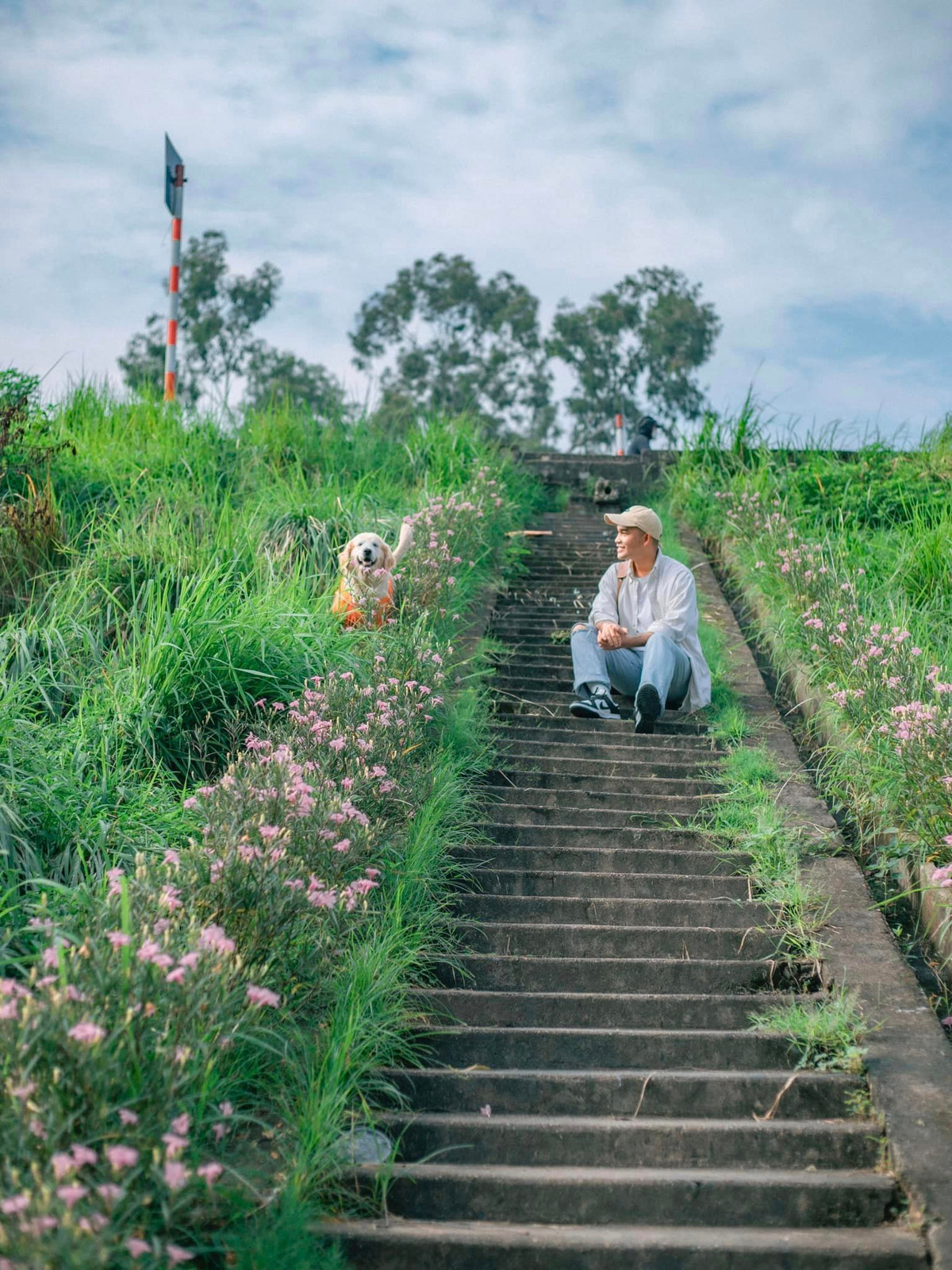 Check in Hà Nội mùa này không thiếu những cánh đồng lau đang nở rộ nhưng gần đây có một khu vực cỏ lau thơ mộng nằm ngay dưới bờ đê Ngọc Thuỵ tại quận Long Biên.