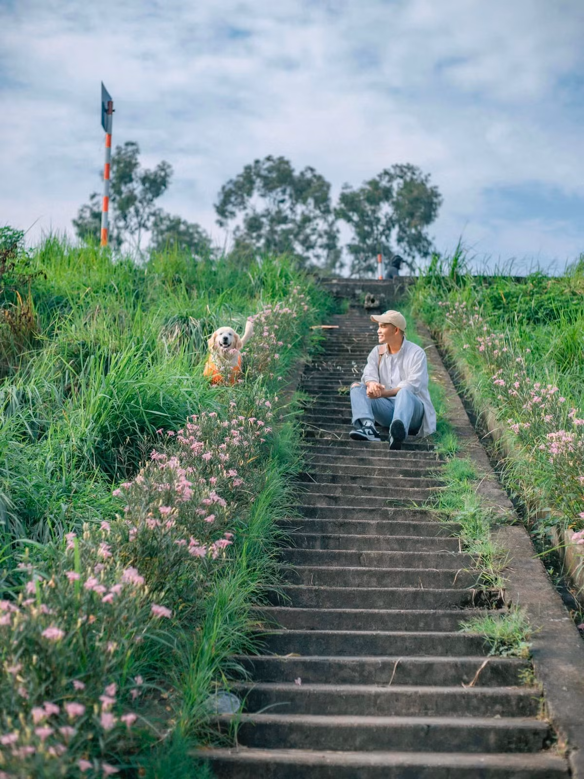 Check in Hà Nội mùa này không thiếu những cánh đồng lau đang nở rộ nhưng gần đây có một khu vực cỏ lau thơ mộng nằm ngay dưới bờ đê Ngọc Thuỵ tại quận Long Biên.