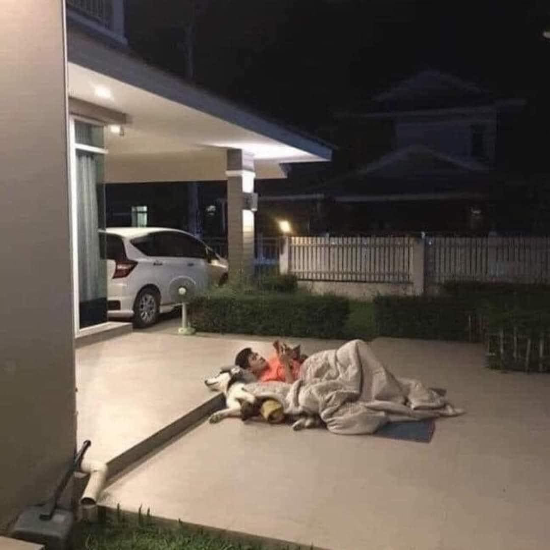 Những hình ảnh người đàn ông sau khi cãi thắng "nóc nhà" đã có cái kết ''cực thốn" khiến cư dân mạng không thể ngừng cười.