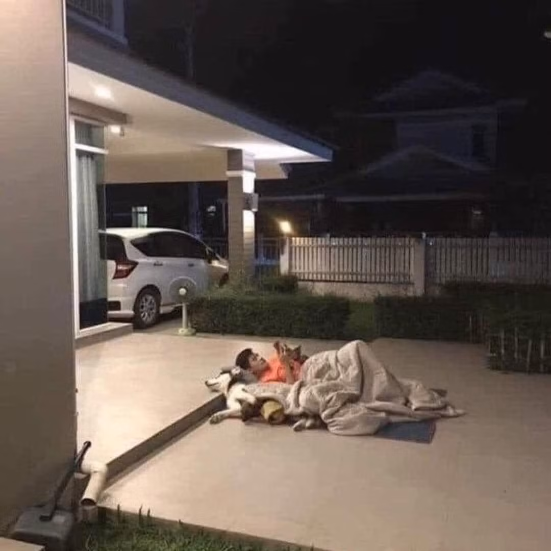 Những hình ảnh người đàn ông sau khi cãi thắng "nóc nhà" đã có cái kết ''cực thốn" khiến cư dân mạng không thể ngừng cười.