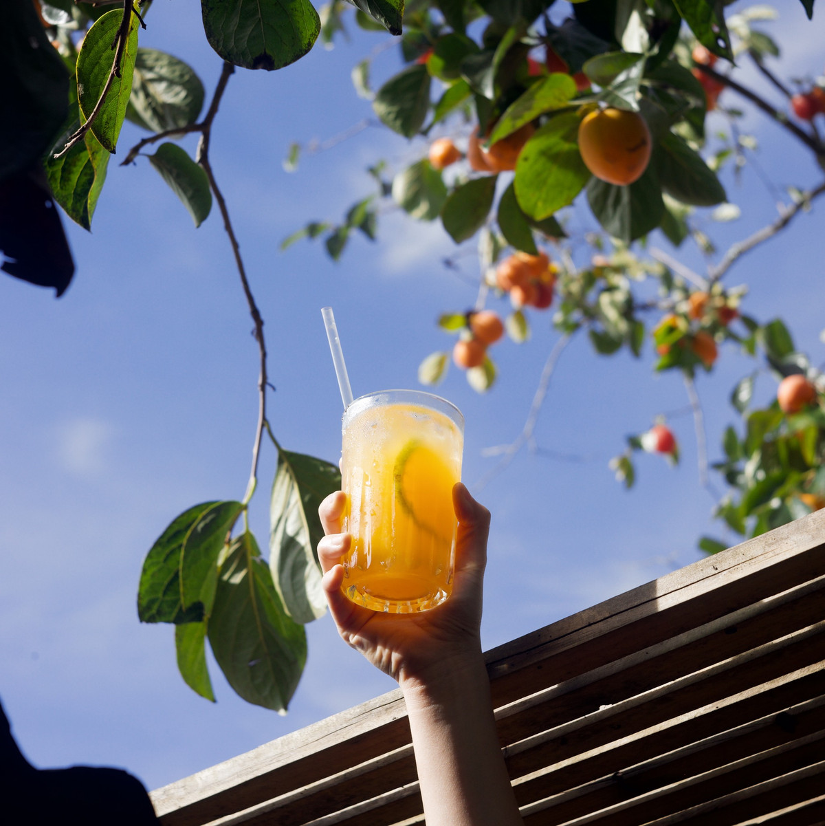 Những cây hồng trong khuôn viên đã bắt đầu chín, lượng khách đến quán thời điểm này ngày một đông. Địa chỉ: Sào Nam, Phường 11. Ảnh: Tiệm cà phê Túi Mơ To