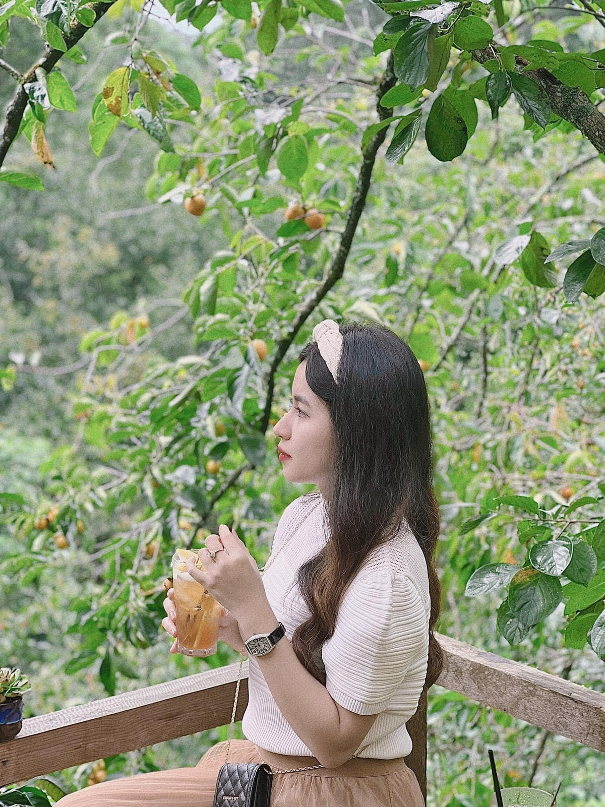 Được biết đây là năm đầu tiên Phía Chân Đồi tổ chức hoạt động hái hồng tại vườn. Ảnh: Phía Chân Đồi