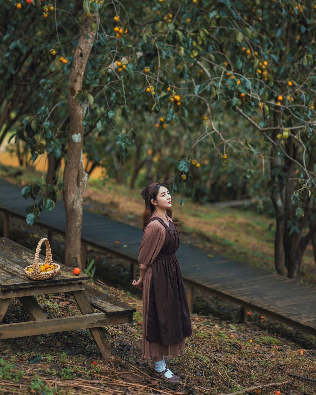 Vườn hồng nhà tôm ở Đà Lạt là quán cà phê phù hợp để ngắm mùa hồng chín vào thời điểm này. Ảnh: Tiệm Cà Phê Vườn Hồng Nhà Tom