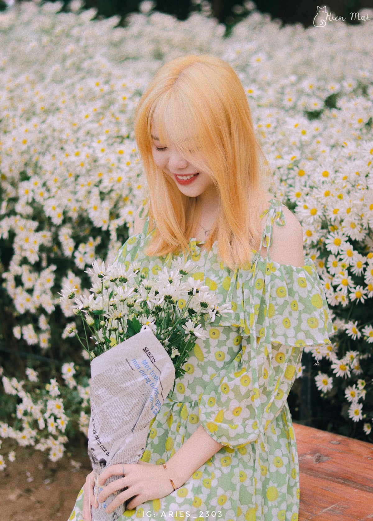 Đầu mùa cúc họa mi, nhiều du khách cũng tranh thủ ghé thăm các vườn hoa ở Hà Nội để check in, sống ảo mới đúng chuẩn tiết trời sang thu.