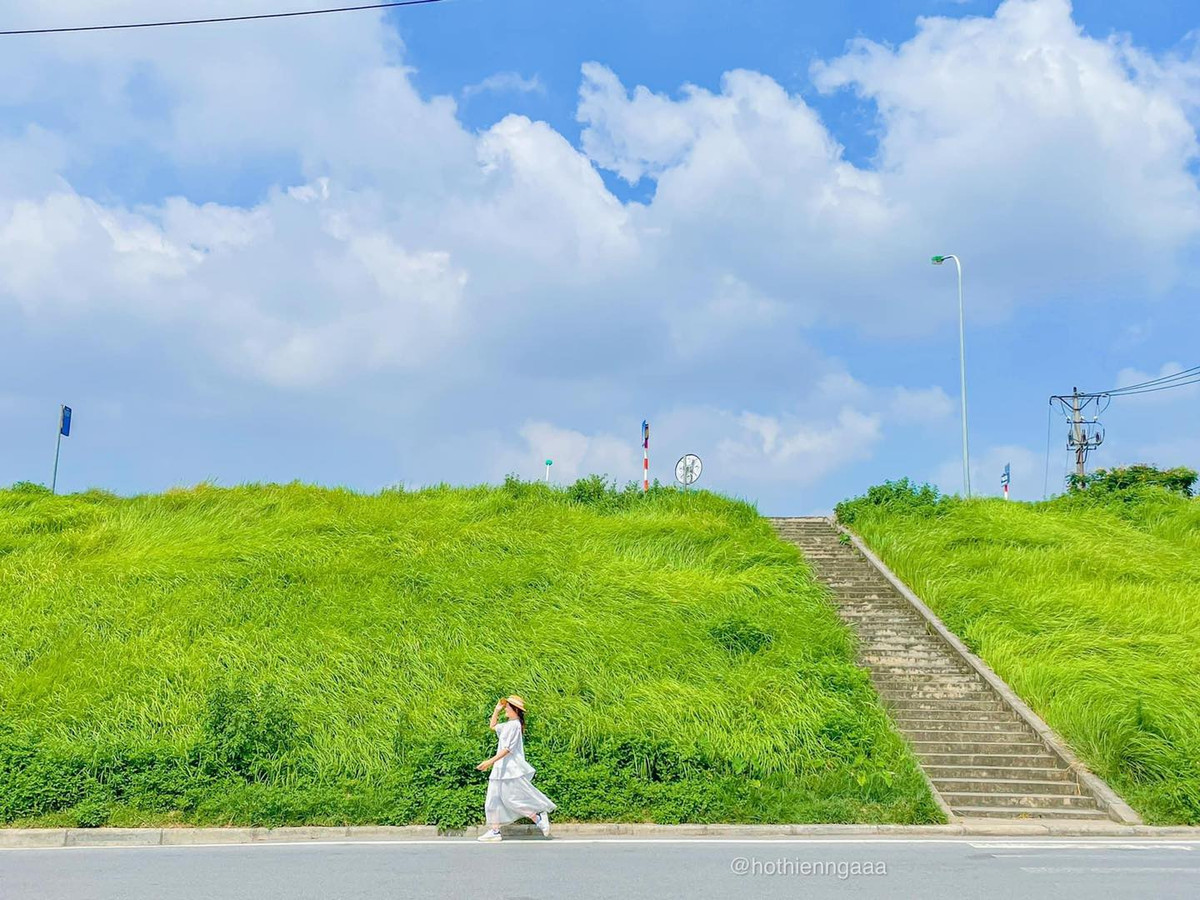 Triền cỏ xanh mướt đẹp như tranh vẽ tại Ngọc Thụy (quận Long Biên, Hà Nội) cũng là nơi khiến các tín đồ yêu thích những bộ phim hoạt hình Nhật Bản thích thú "check-in".