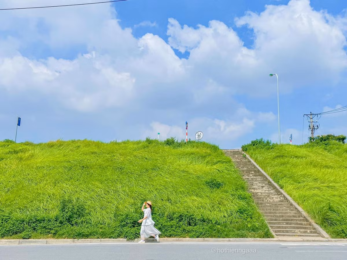 Triền cỏ xanh mướt đẹp như tranh vẽ tại Ngọc Thụy (quận Long Biên, Hà Nội) cũng là nơi khiến các tín đồ yêu thích những bộ phim hoạt hình Nhật Bản thích thú "check-in".