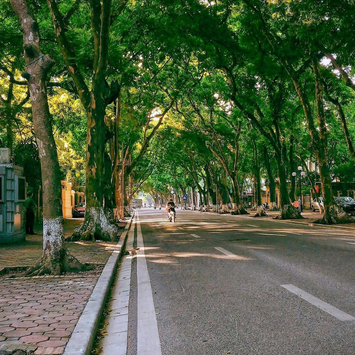 Nhắc đến điểm check in mùa thu Hà Nội là không thể quên con đường Phan Đình Phùng. Đây được mệnh danh là con đường đẹp nhất Hà Nội nhờ hàng cây sấu cổ thụ và vỉa hè luôn rợp bóng mát.