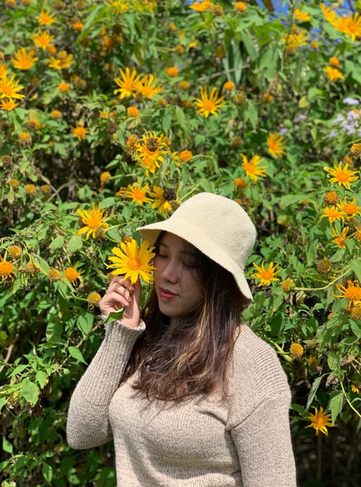 Hoa dã quỳ đẹp nhất vào buổi sáng, khi cái nắng của mùa đông vừa hừng lên, sương vẫn còn đọng trên lá và những cánh hoa dã quỳ. Ảnh: Vanh Nguyen