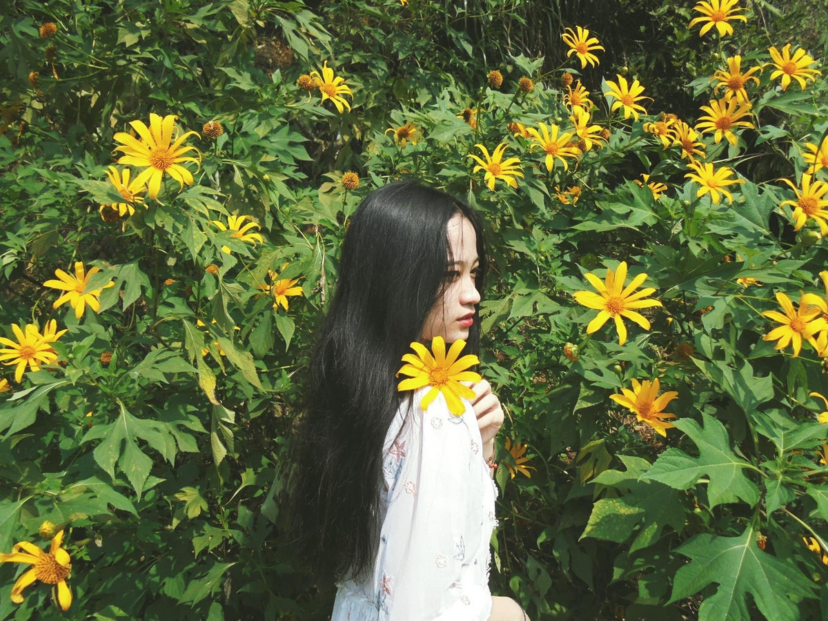 Check in Ba Vì "sống ảo" đúng vào mùa hoa dã quỳ nở rộ chính là "đặc sản" của mùa thu, thời điểm này nhiều bạn trẻ thường đến để cho ra lò loạt khoảnh khắc sống ảo cực đẹp. Ảnh: Nhật Lệ