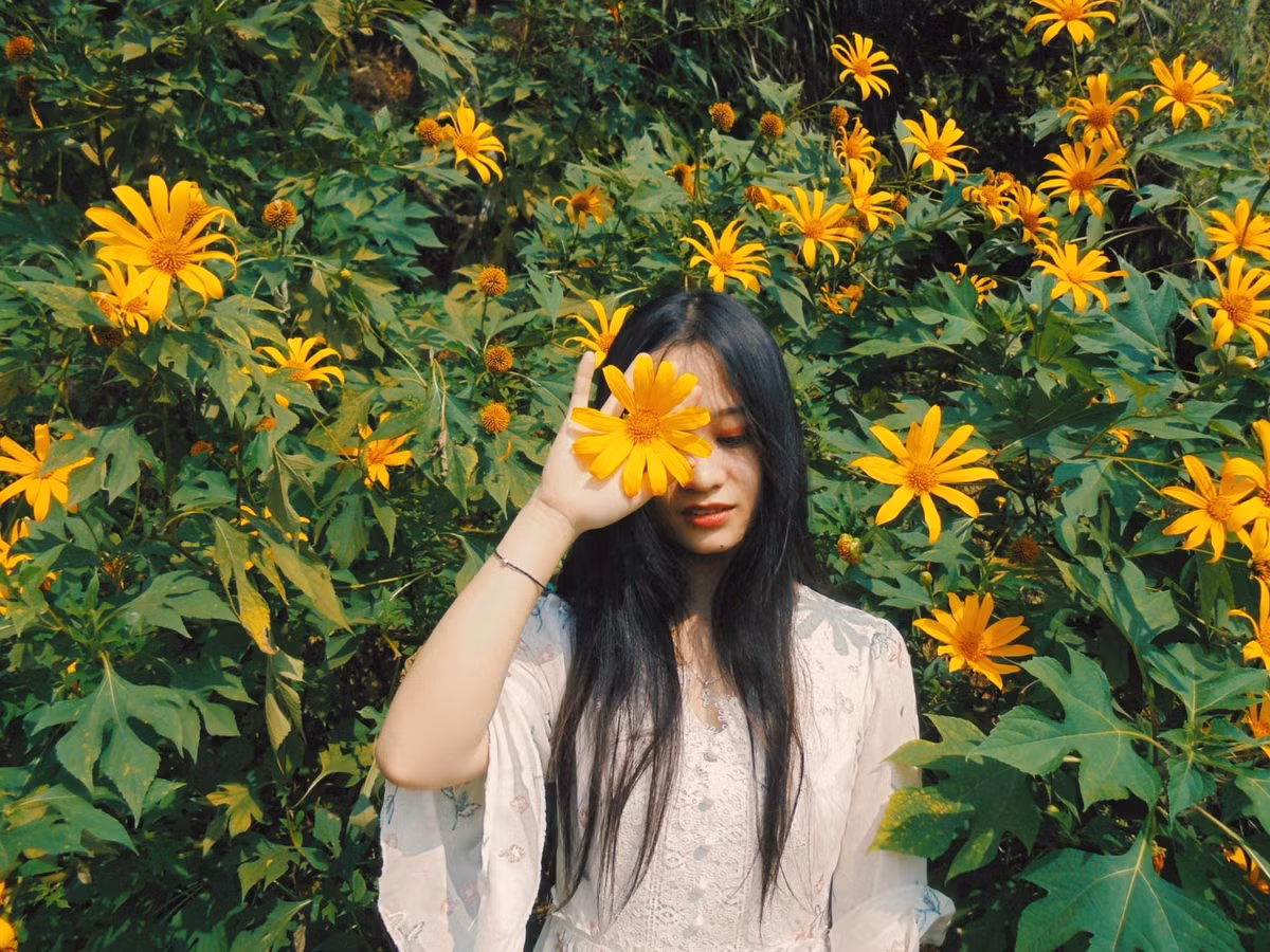 Vào thời điểm tháng 10,11 hàng năm Ba Vì có lẽ là địa điểm check in "hot" được nhiều người ghé thăm bởi nơi đây có hoa dã quỳ nở rộ. Ảnh: Nhật Lệ