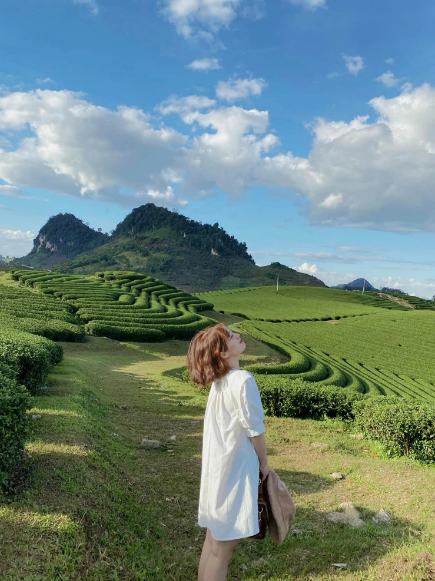 Chỉ trừ 3 tháng đầu năm người ta sẽ chờ vụ mới, thì mùa chè ở Mộc Châu hầu như diễn ra suốt những tháng còn lại. Ảnh: Jin Yan