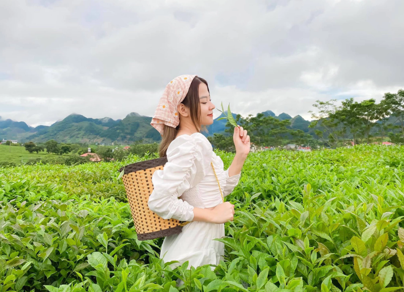 Đồi chè Mộc Châu, Sơn La tựa như những địa điểm du lịch nổi tiếng như Đà Lạt, Sapa nhưng lại có phần yên bình, nhẹ nhàng hơn. Ảnh: Tạ Xuân Hương