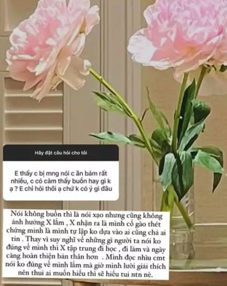 Trước đó, một fan cũng đặt câu hỏi nhạy cảm: "Em thấy chị bị mọi người nói ăn bám rất nhiều, chị có cảm thấy buồn không ạ?". Xoài Non cô cho hay: "Nói không buồn thì là nói xạo nhưng cũng không ảnh hưởng tới Xoài lắm. Xoài nhận ra mình cố gào thét chứng minh là mình tự lập không dựa vào ai thì cũng chẳng ai tin".