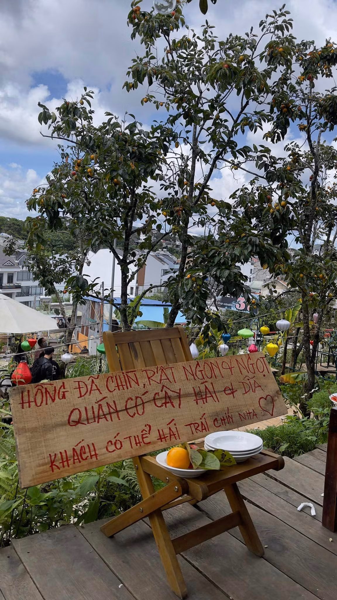 Trên tấm biển này chủ quán cà phê đã ghi: "Hồng đã chín, rất ngon và ngọt. Quán có cây hái và đĩa, khách có thể hái trái chín nha". Ảnh: NEAR Coffee Đà Lạt