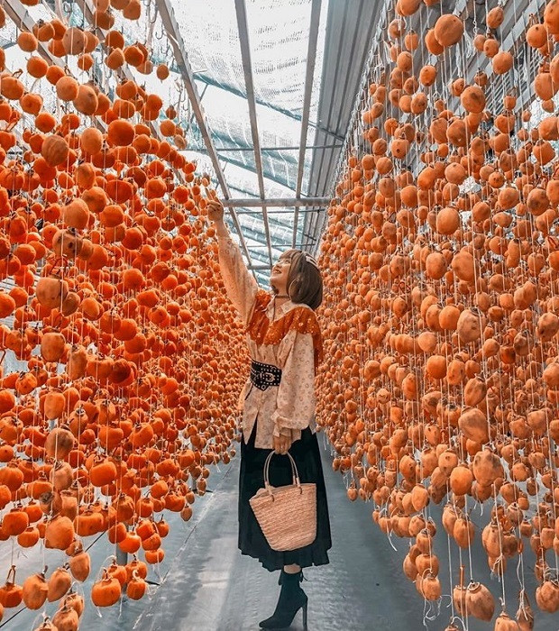 Đi Đà Lạt vào mùa này, khách du lịch có thể chọn mua hồng ở bất cứ đâu để làm quà, hồng tươi, hồng dẻo, mứt hồng...để làm quà mang về. Ảnh: Tổng hợp