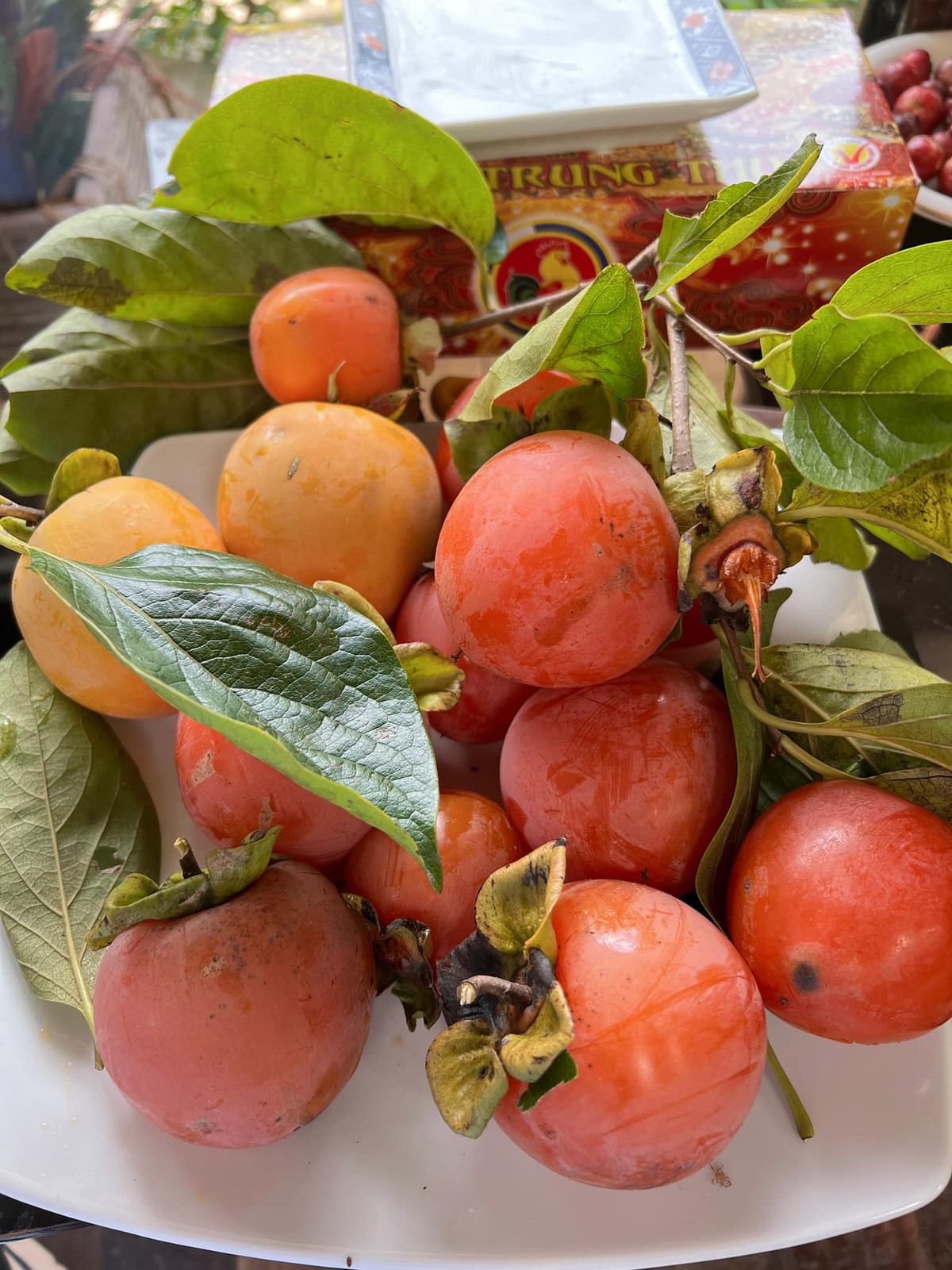 Tấm biển của quán cà phê này đã khiến không ít khách hàng thấy ấm lòng, bởi đúng mùa hồng lại được thưởng thức miễn phí, ngồi nhâm nhi cốc cà phê thì còn gì bằng. Ảnh: NEAR Coffee Đà Lạt