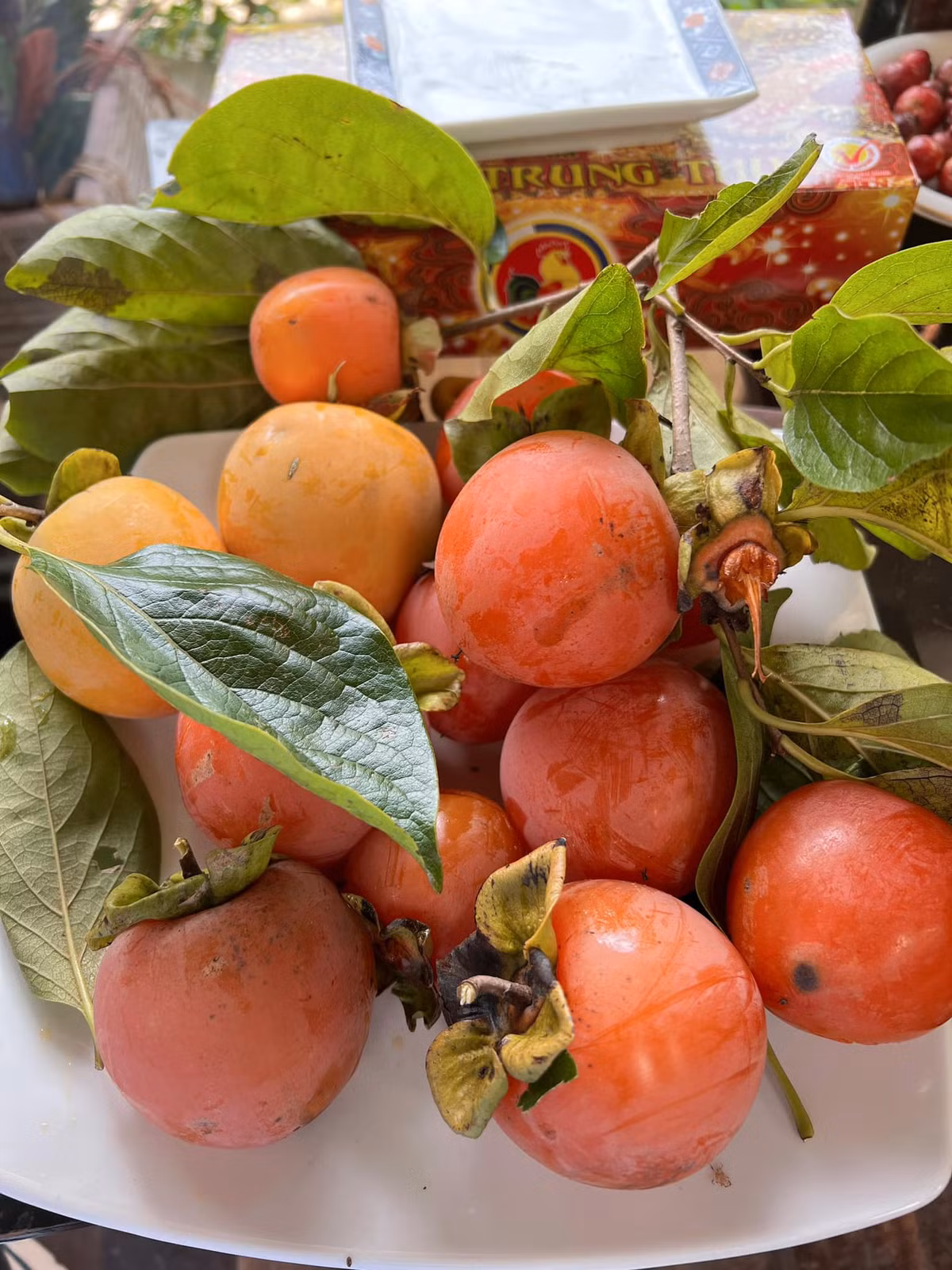 Tấm biển của quán cà phê này đã khiến không ít khách hàng thấy ấm lòng, bởi đúng mùa hồng lại được thưởng thức miễn phí, ngồi nhâm nhi cốc cà phê thì còn gì bằng. Ảnh: NEAR Coffee Đà Lạt