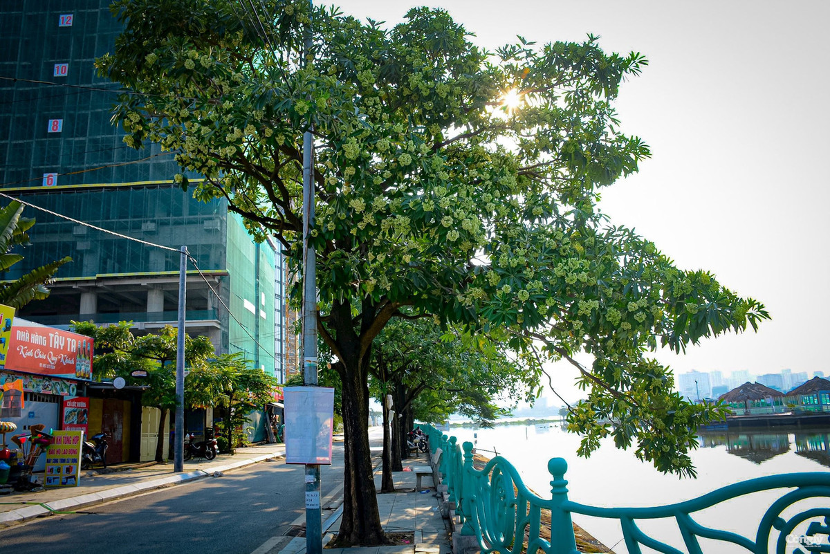 Cùng với view xinh đẹp ở nơi đây sẽ mang tới cho bạn background xinh xẻo cho mỗi khung hình. Ảnh: congly