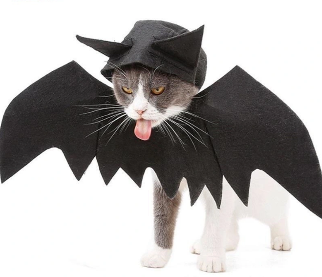 Để cho không khí Halloween thêm náo nhiệt, giới trẻ không những hòa mình vào nhân vật mà còn cosplay các chú chó theo đủ phong cách khác nhau để cùng chào đón đêm lễ huyền bí.