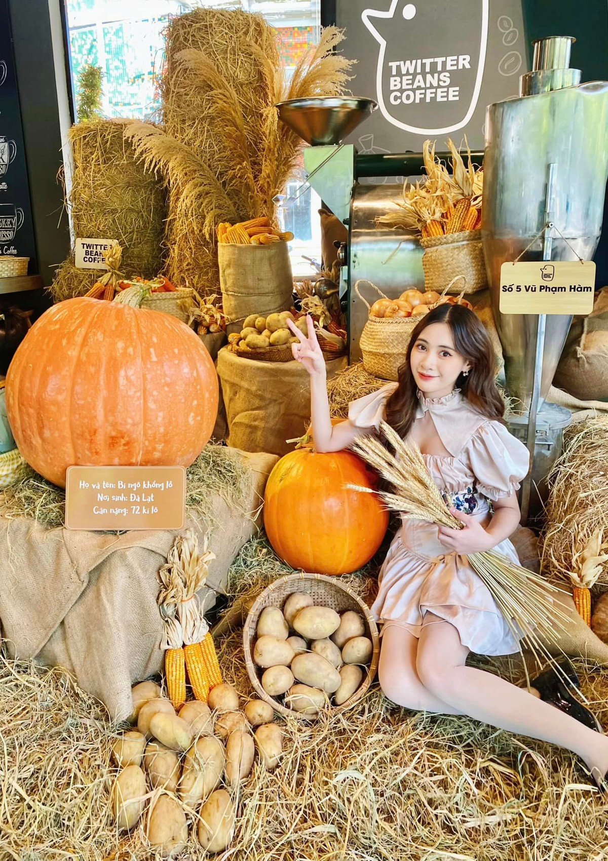 Một trong những quán cafe trang trí Halloween khác phải kể đến Twitter Beans. Ảnh: Phạm Hồng Vân Anh