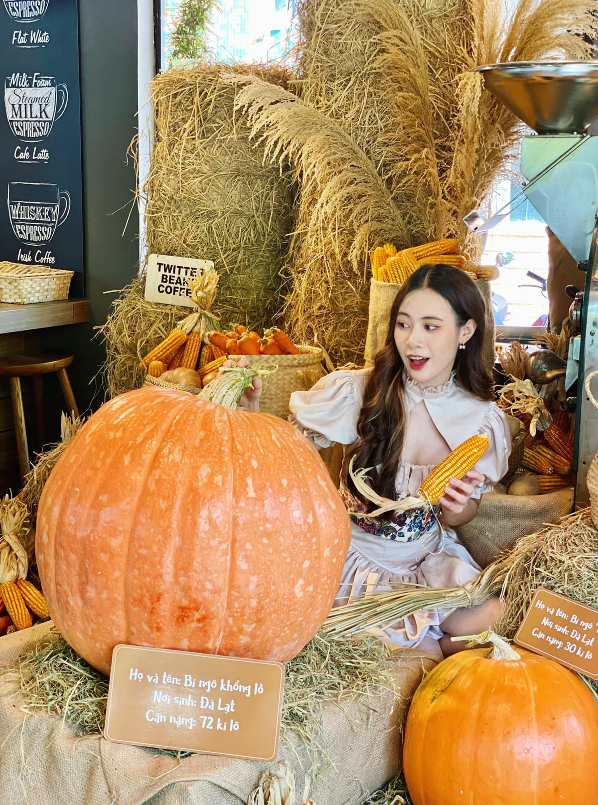 Điểm nhấn ở phần trang trí Halloween của quán cafe này là quả bí ngô khổng lồ lên đến 73kg khoảng 2 người ôm mới xuể. Ảnh: Phạm Hồng Vân Anh