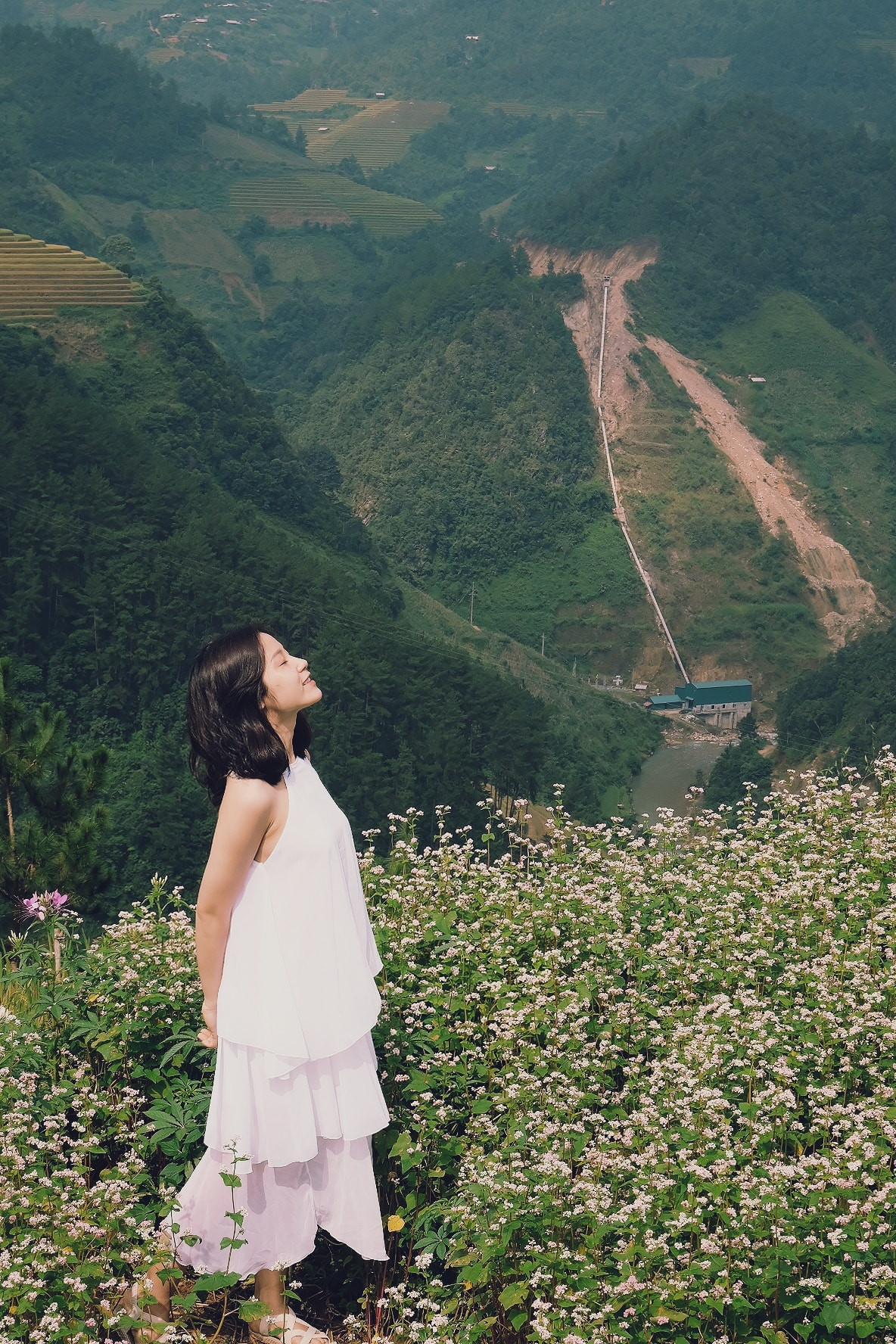 Cứ độ tháng 9 đến tháng 11, Mù Cang Chải lại phủ sắc trắng hồng phơn phớt nhẹ nhàng của hoa tam giác mạch. Ảnh: Tram Nguyen