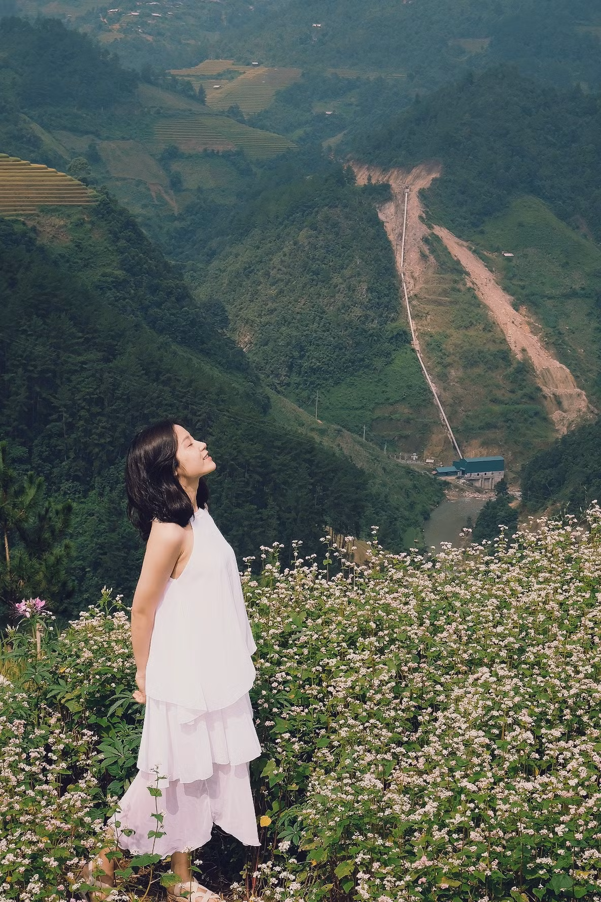 Cứ độ tháng 9 đến tháng 11, Mù Cang Chải lại phủ sắc trắng hồng phơn phớt nhẹ nhàng của hoa tam giác mạch. Ảnh: Tram Nguyen