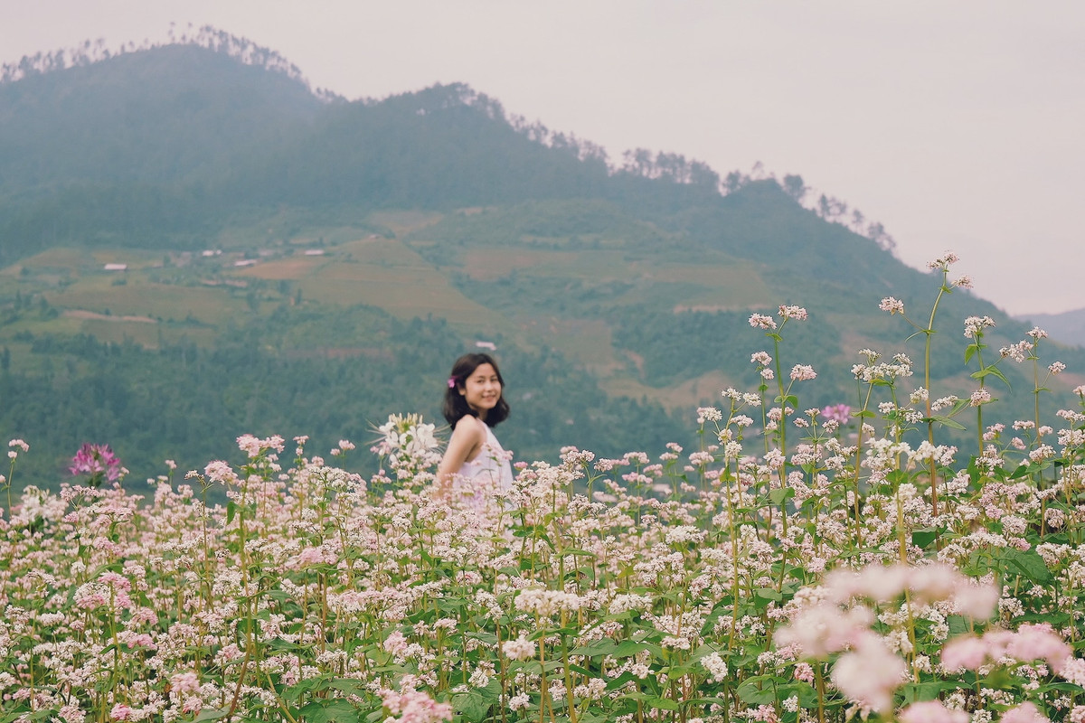 Dù không quá bạt ngàn như ở Hà Giang, nhưng cánh đồng hoa tại đây cũng chẳng kém cạnh gì. Ảnh: Tram Nguyen