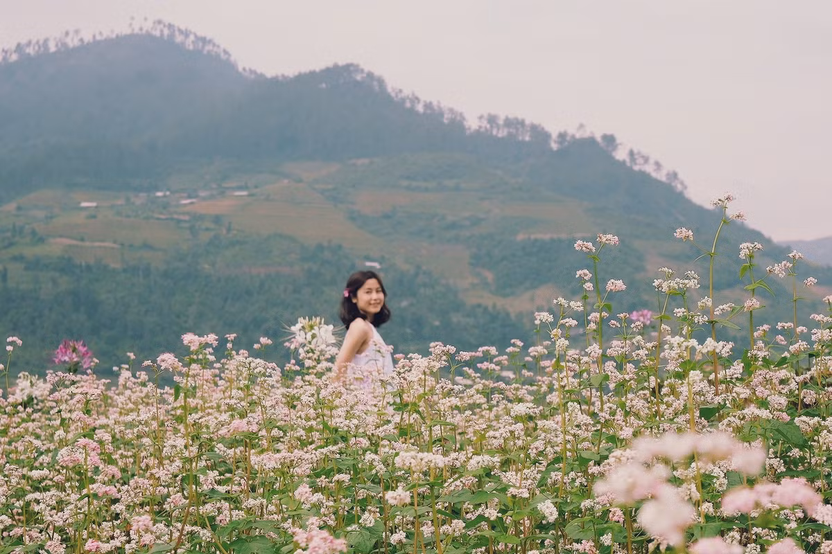 Dù không quá bạt ngàn như ở Hà Giang, nhưng cánh đồng hoa tại đây cũng chẳng kém cạnh gì. Ảnh: Tram Nguyen