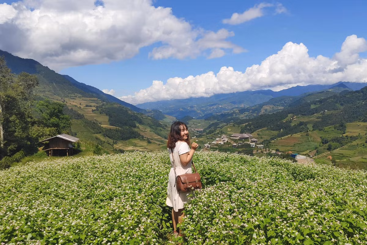 Mỗi mùa hoa tam giác mạch đến, Mù Cang Chải lại được nhiều người săn đón để có cơ hội ngắm hoa nở rộ. Ảnh: Nguyễn Khánh Hoàng Anh