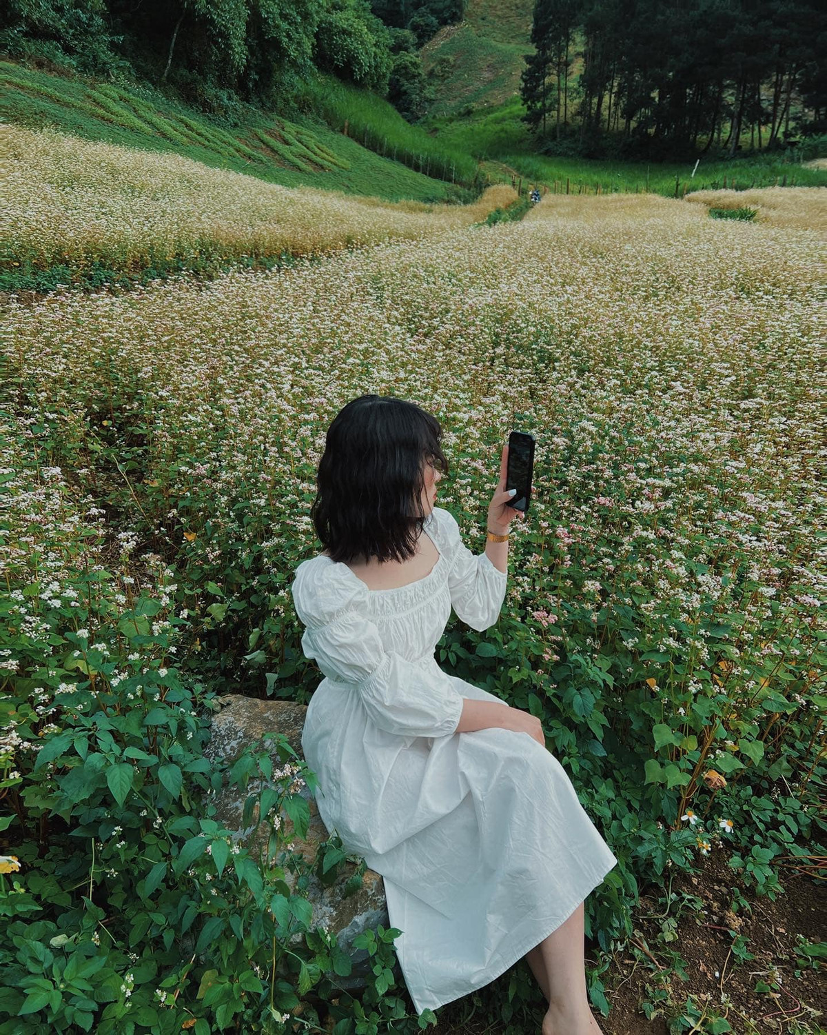 Check in hoa tam giác mạch ở Mộc Châu cũng là lựa chọn cho nhiều bạn trẻ. Hoa tam giác mạch ở Mộc Châu rất giản dị, nhưng cũng không kém phần lãng mạn như những nơi khác. Ảnh: Jin Yan