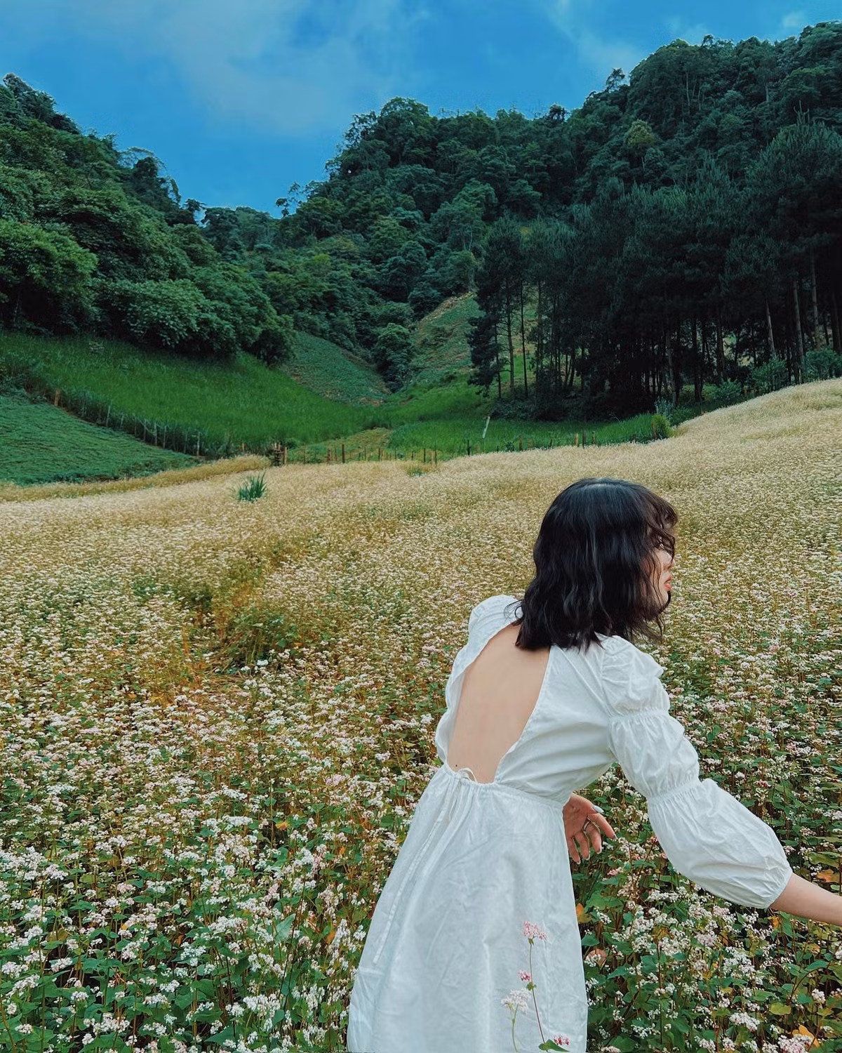 Cac diem ngam hoa tam giac mach no ro say long nguoi