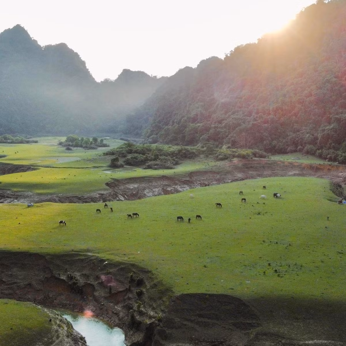 Cắm trại dã ngoại là một hoạt động không thể thiếu nếu thảo nguyên Đồng Lâm vào mùa khô. Ảnh: Nguyễn Khánh Hoàng Anh