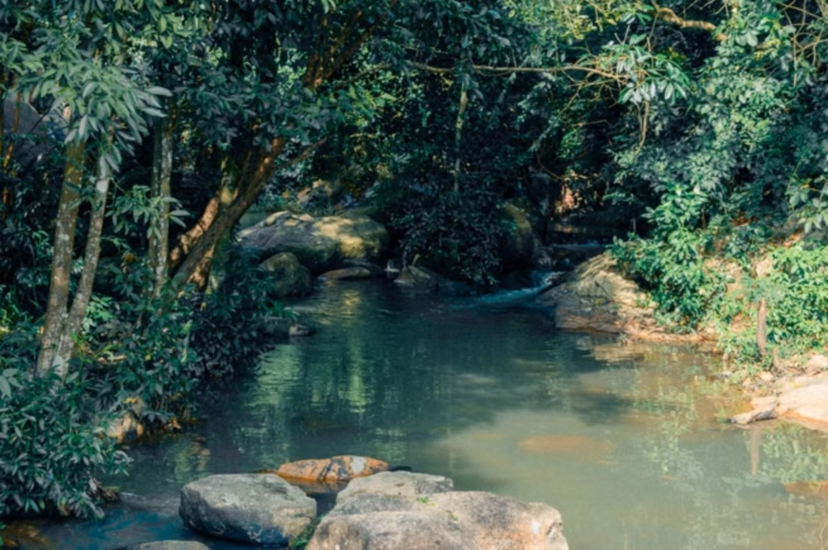 Đến đây, bạn có thể thoải mái đắm mình trong làn nước và hít thở bầu không khí trong lành trên núi. Địa chỉ: Xã Tân Hải, huyện Tân Thành, tỉnh Bà Rịa - Vũng Tàu. Ảnh: Twinspiration