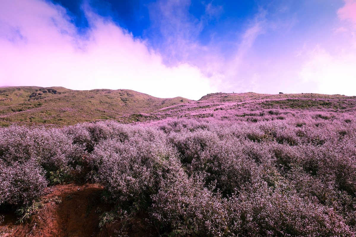Ngoài ra du khách có thể thuê xe giường nằm từ Hà Nội đến thị trấn Nghĩa Lộ rồi nghỉ đêm ở đây để sáng hôm sau đi ô-tô hoặc xe máy chạy thẳng đến điểm leo cách đó chừng 30km.